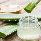 Seaflora Sea Splash Toning Essence - Gentle Skin Essentials