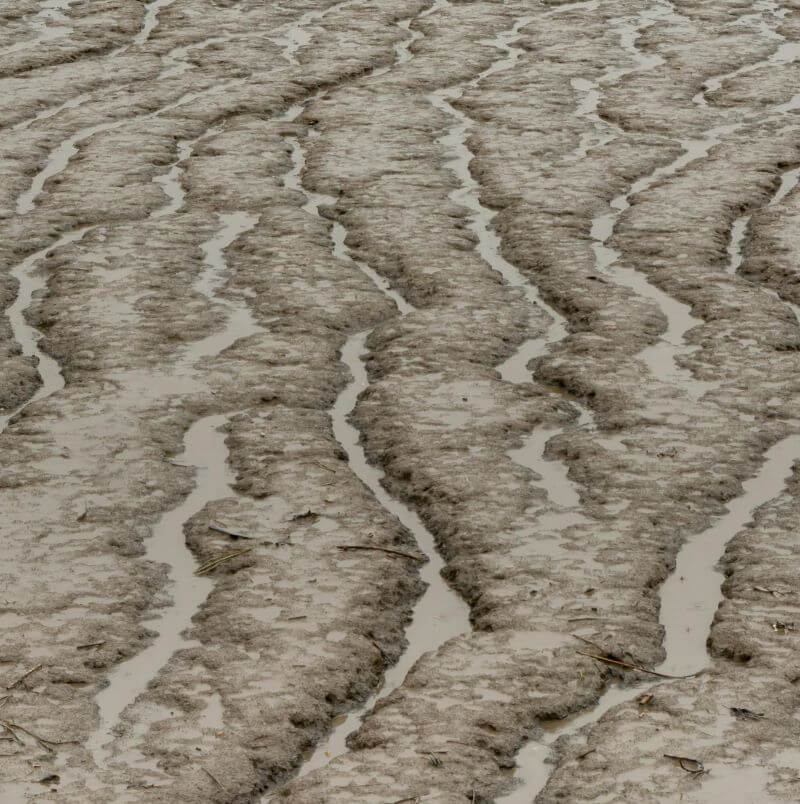 SeaVital Exfoliating Facial Wash - Gentle Skin Essentials