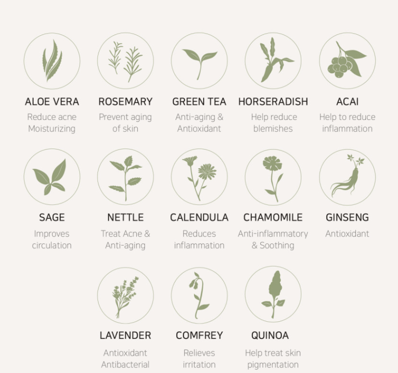 A24 Naturalism Sensitive Skin Sunscreen SPF50+ - Gentle Skin Essentials