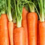 100% Pure Multi-Vitamin + Antioxidants PM Facial Oil - Gentle Skin Essentials