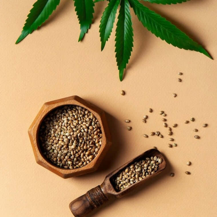 Hydrapaise® cream - Gentle Skin Essentials