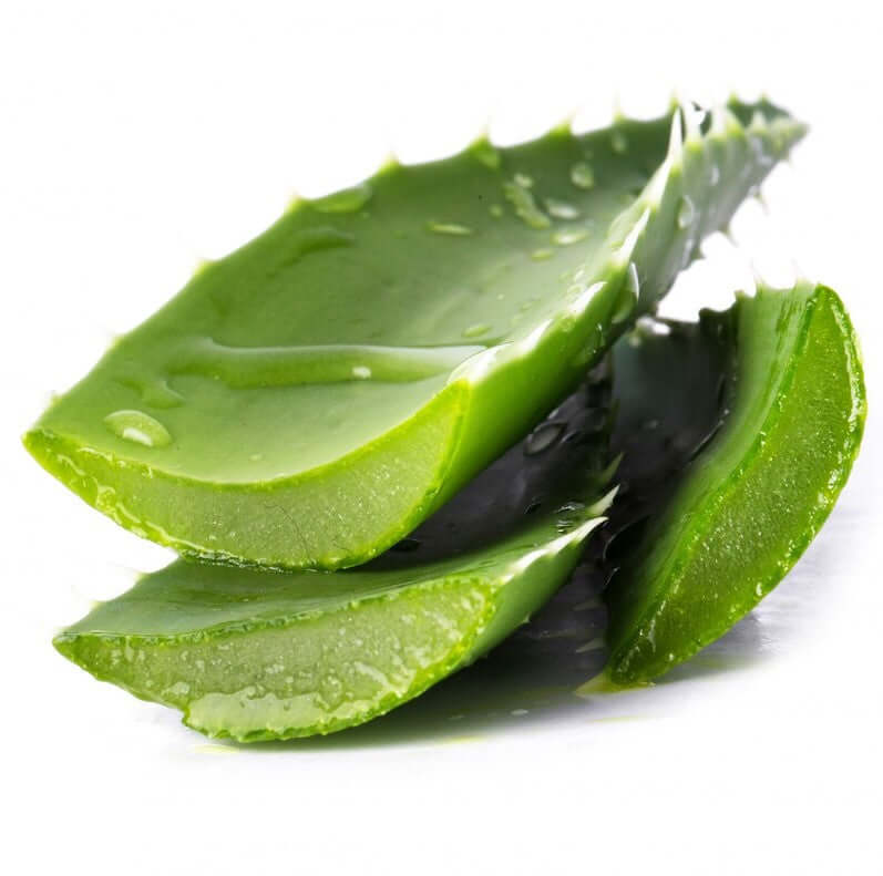 Spotlight on Aloe Vera: Why This Natural Ingredient is Essential for Skin Hydration